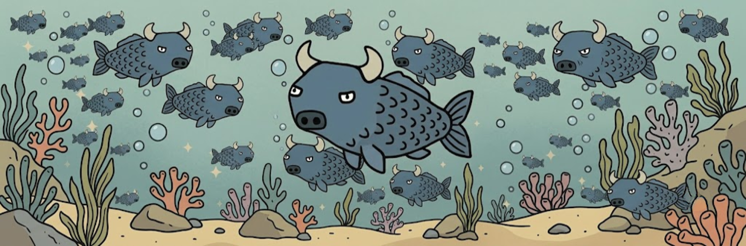school of bulfish